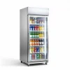 Tủ đông đứng 1 cánh kính Sanden SNR-0100 – ảnh minh họa